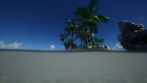 Braunes,-Schlammiges-Wasser-Und-Palmen-Auf-Der-Insel